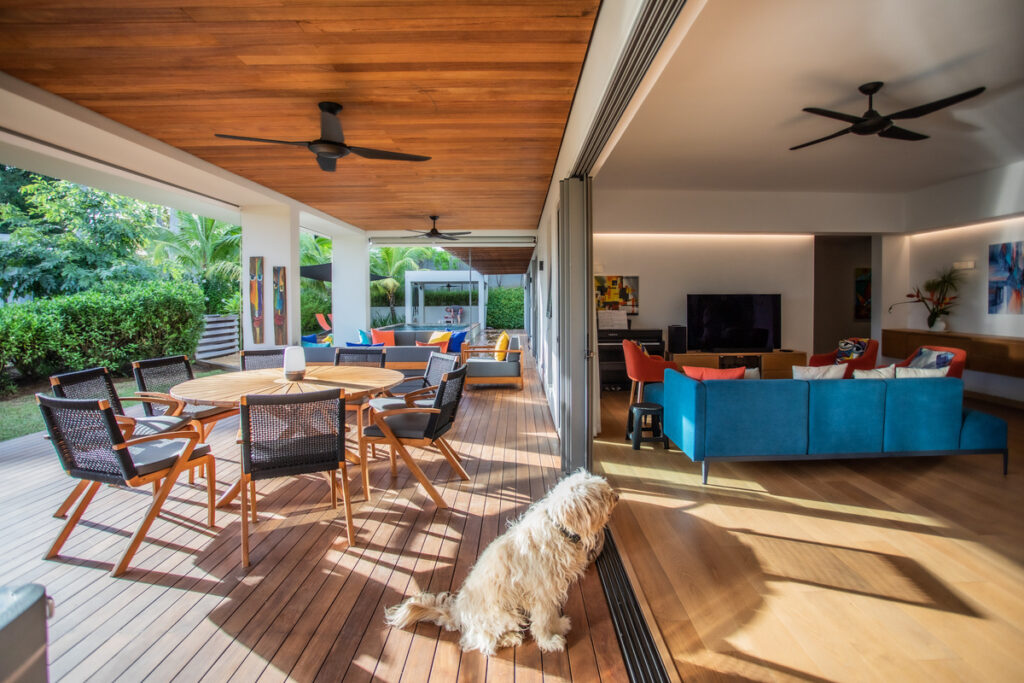 Lemon-Lime-Manta-Cove-1