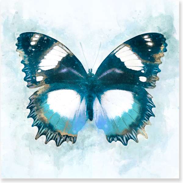 12edf0113ef8fde63a8090c9cbb7638f 2