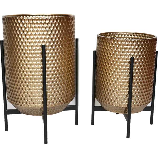 b7aa5270a1f2f2ae1fbd0868abbc264d 1